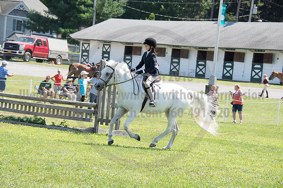 2016DCF_08262016_SCL_0526
