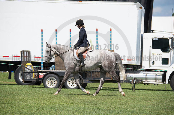 2016DCF_08262016_SCL_0460