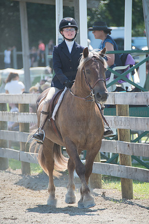 2016DCF_08242016_SCL_9084