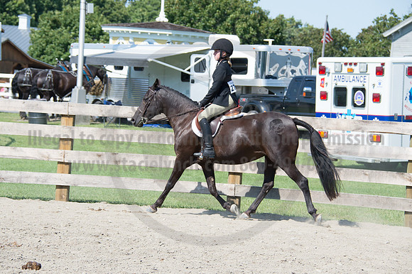 2016DCF_08242016_SCL_9258