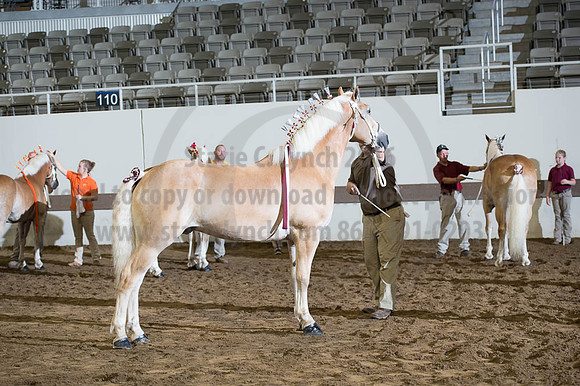 ISF_08192016_SCL_4741