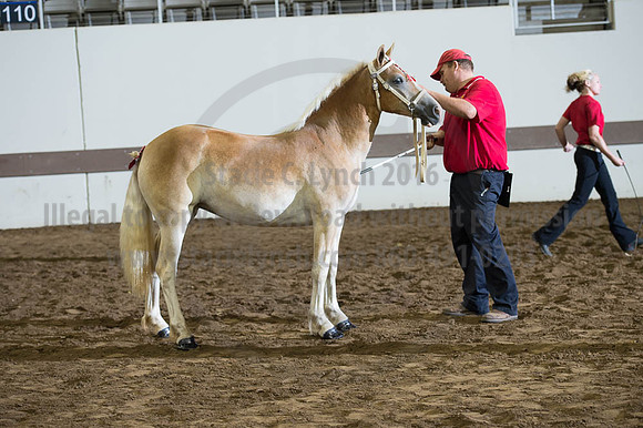 ISF_08192016_SCL_4456
