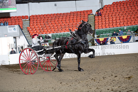 BigE_20221002-SCL_4454