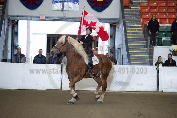 NABC8_10112016_SCL1486