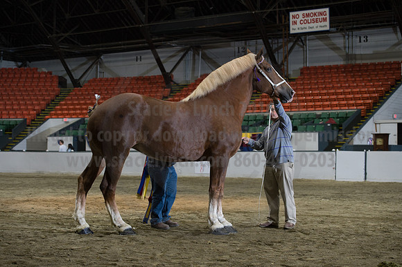 NABC8_10152016_SCL_1858
