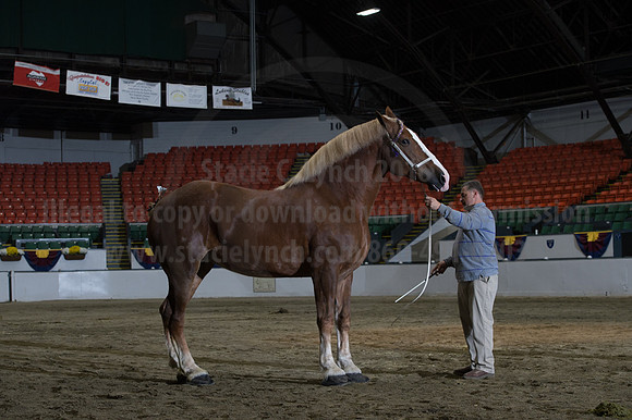 NABC8_10152016_SCL_1830