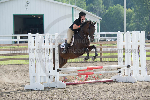 2016DCF_08262016_SCL_0297