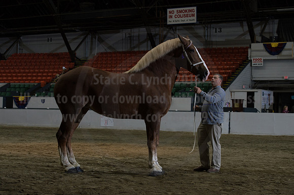 NABC8_10152016_SCL_1841