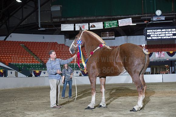 NABC8_10152016_SCL_1821