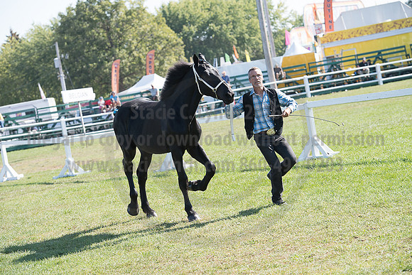 Carp_09222017_SCL_2768