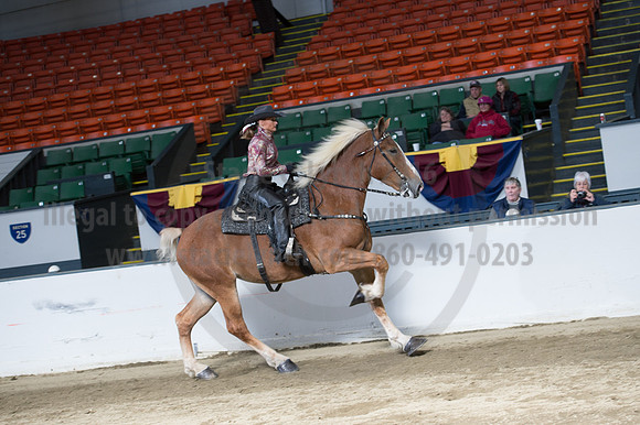 NABC8_10142016_SCL_8348