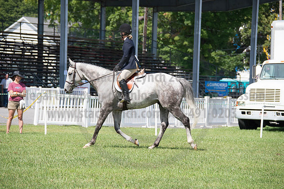 2016DCF_08262016_SCL_0461