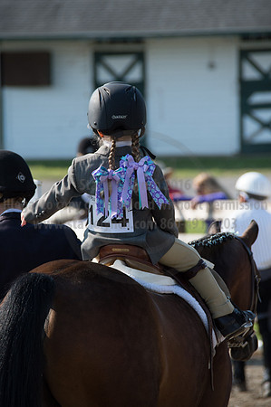 2016DCF_08242016_SCL_8440