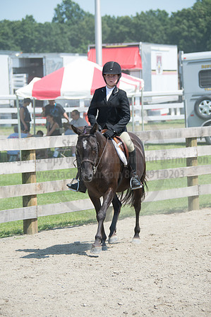 2016DCF_08242016_SCL_9080