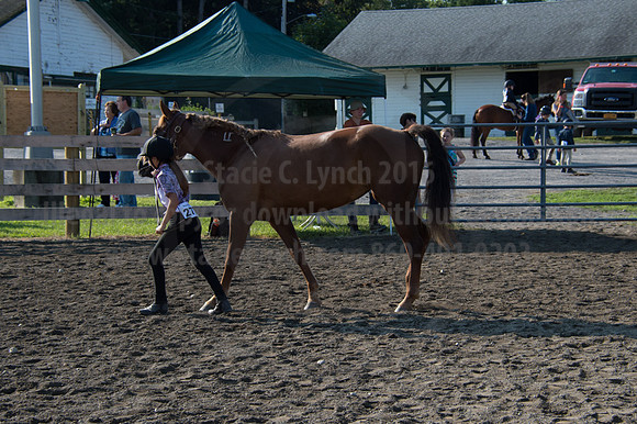 2016DCF_08242016_SCL_8338