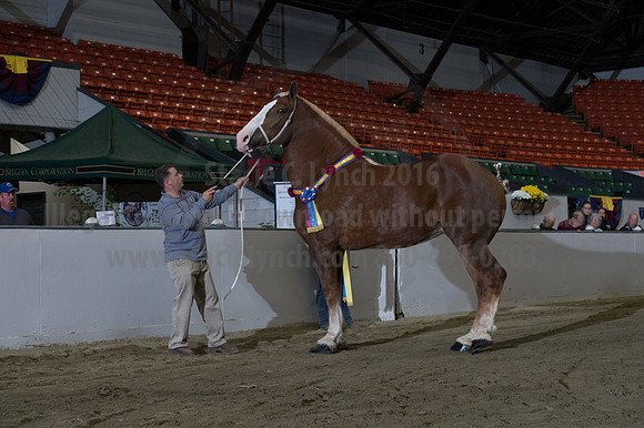 NABC8_10152016_SCL_1826