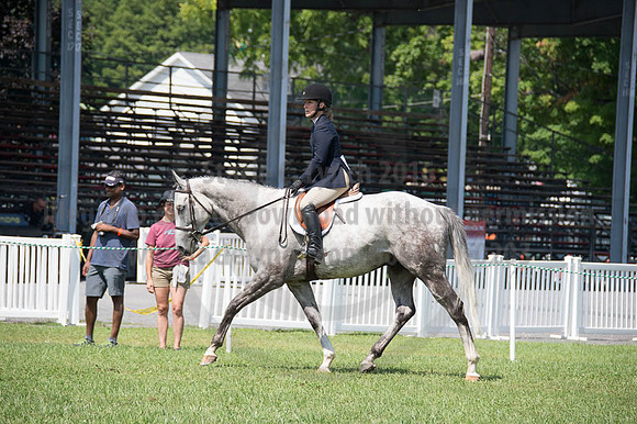 2016DCF_08262016_SCL_0477