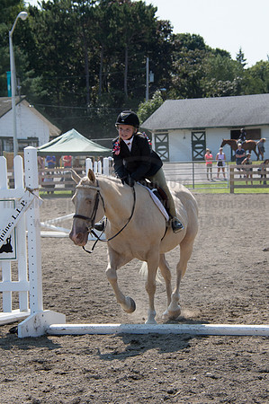 2016DCF_08242016_SCL_8756