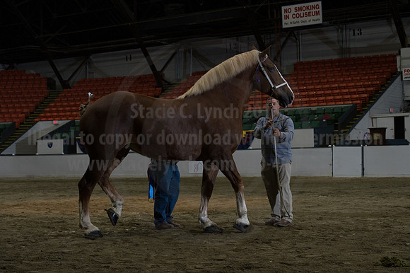 NABC8_10152016_SCL_1851