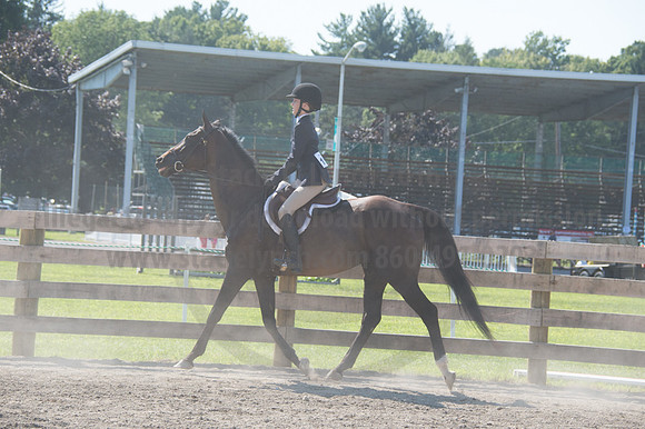 2016DCF_08242016_SCL_9288