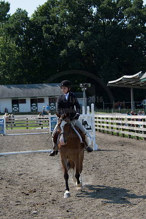 2016DCF_08242016_SCL_8718