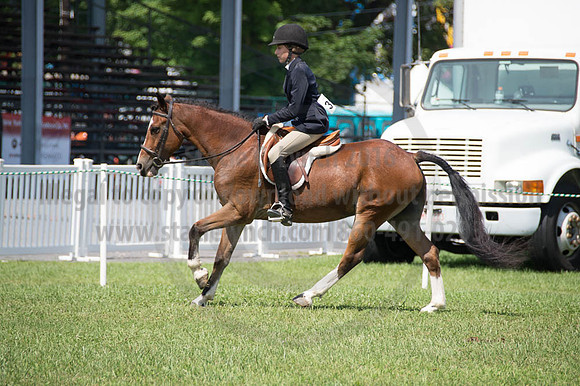 2016DCF_08262016_SCL_0486