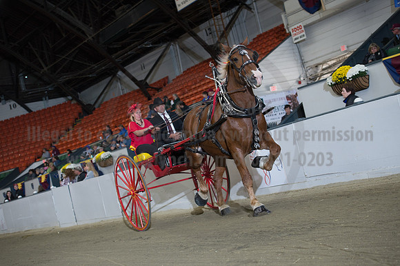 NABC8_10152016_SCL_0400