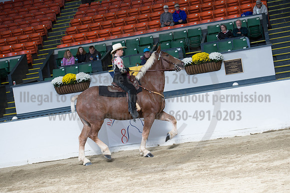 NABC8_10142016_SCL_8345