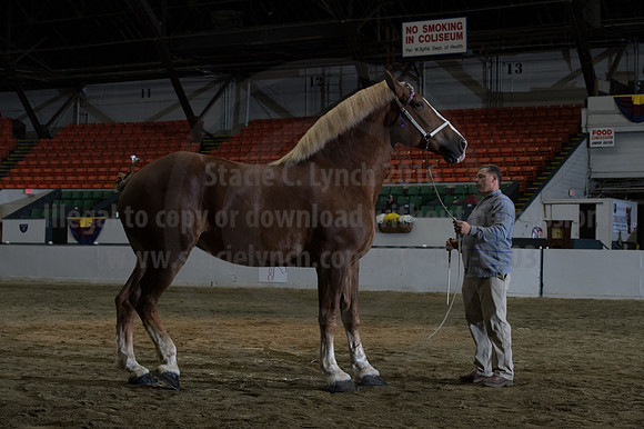NABC8_10152016_SCL_1837