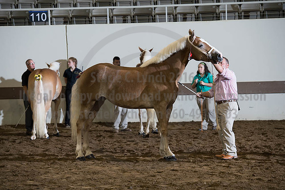 ISF_08192016_SCL_4227