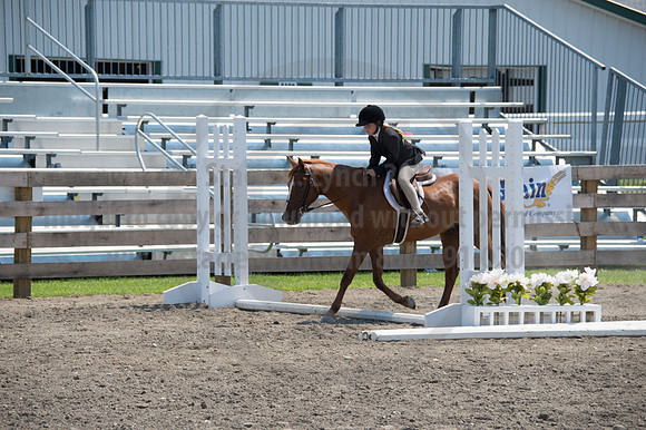 2016DCF_08242016_SCL_8932