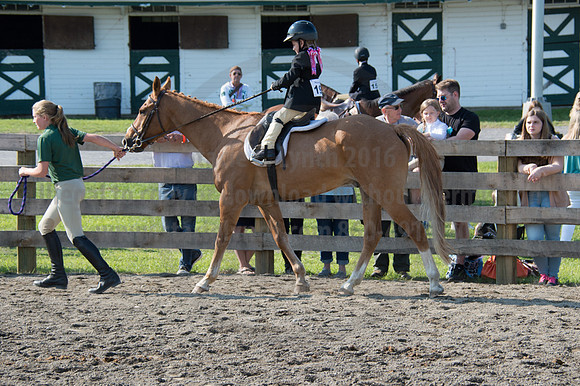 2016DCF_08242016_SCL_8518