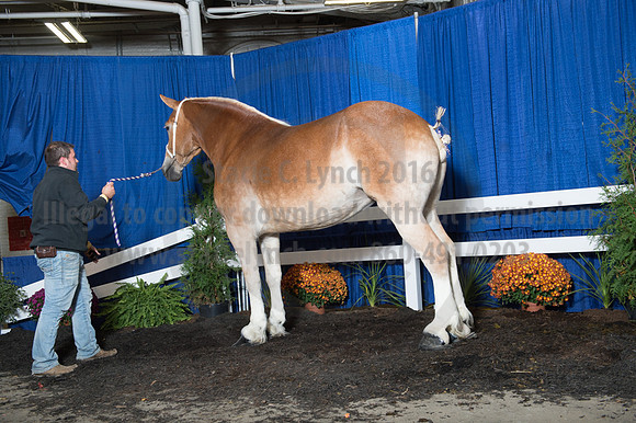 NABC8_10152016_SCL_1971