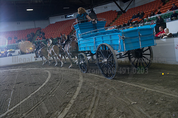 NABC8_10142016_SCL_8631