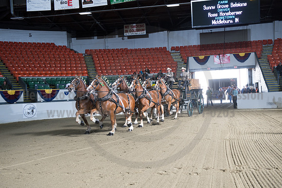 NABC8_10142016_SCL_8522