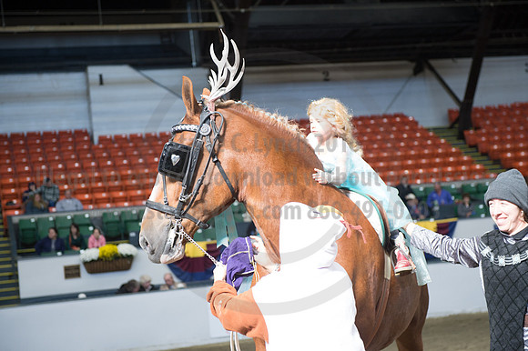 NABC8_10142016_SCL_8936