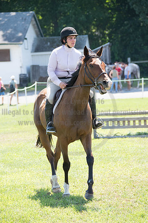 2016DCF_08262016_SCL_0519