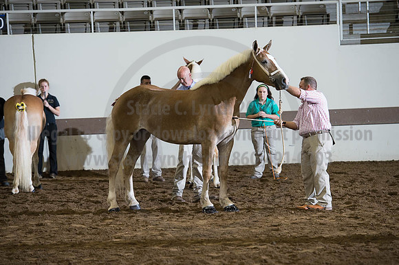 ISF_08192016_SCL_4230
