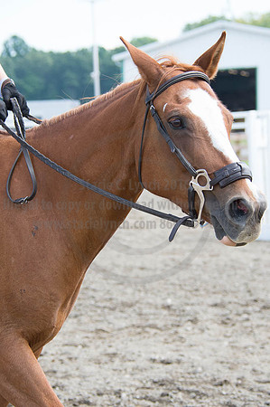 2016DCF_08262016_SCL_0443