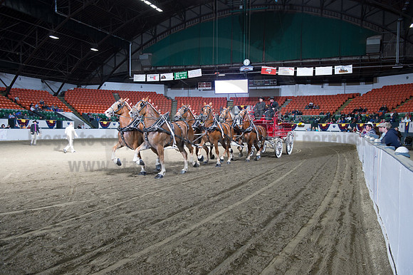 NABC8_10142016_SCL_8608