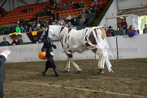 NABC8_10142016_SCL_8858