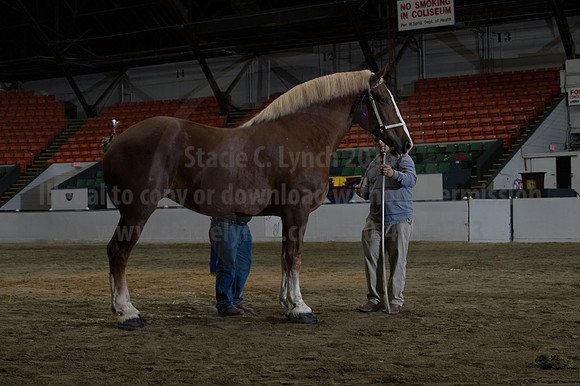 NABC8_10152016_SCL_1847