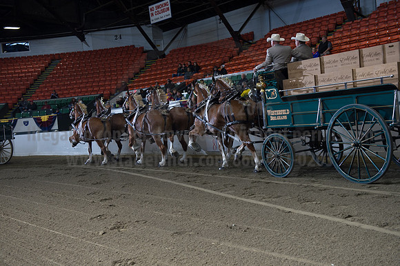 NABC8_10142016_SCL_8524
