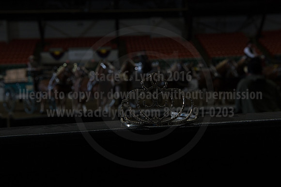 NABC8_10132016_SCL_7840