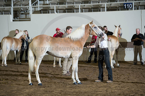 ISF_08192016_SCL_4500