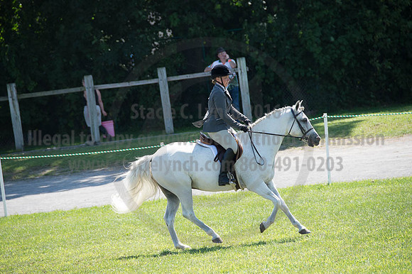 2016DCF_08262016_SCL_0539