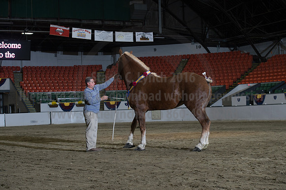 NABC8_10152016_SCL_1824
