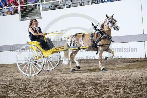 ISF_08182016_SCL_3508