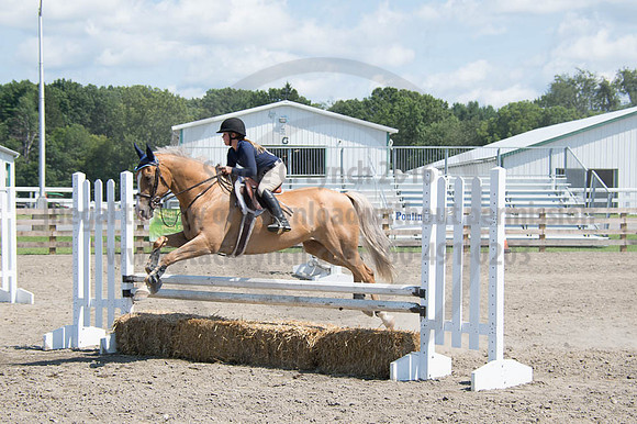 2016DCF_08262016_SCL_0687
