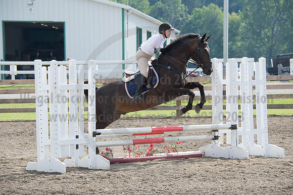 2016DCF_08262016_SCL_0249